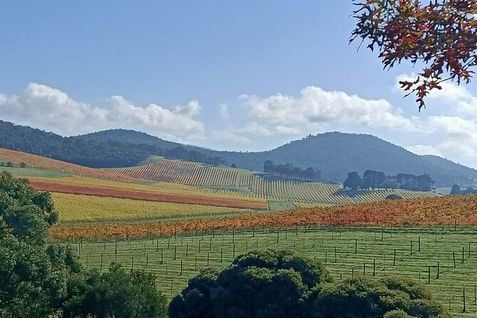 Customized Private Winery Day Tour in Yarra Valley at Your Own Choices - Traveler Reviews and Ratings