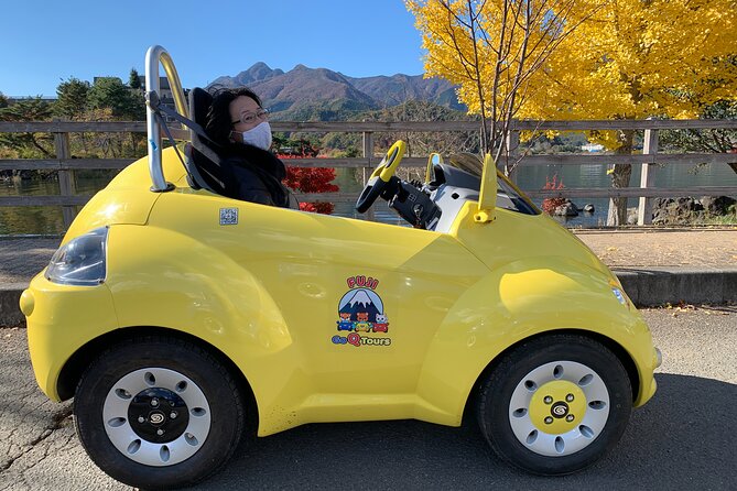 Cute & Fun E-Car Tour Following Guide Around Lake Kawaguchiko - Route Highlights and Stops