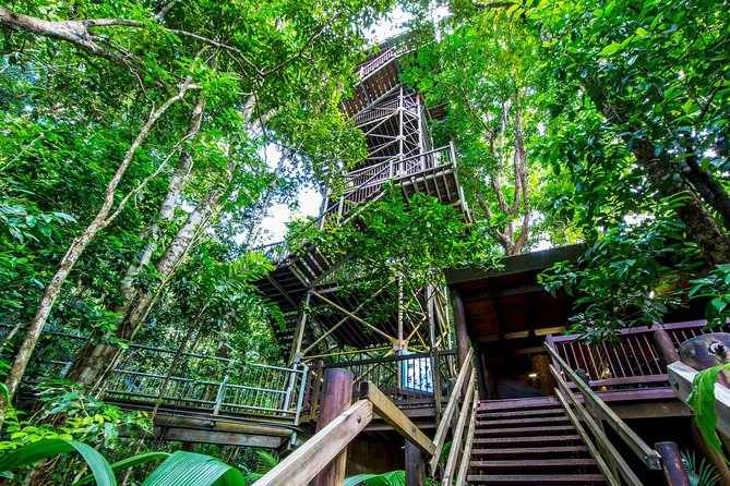 Daintree Discovery Centre Single Pass - Traveler Reviews