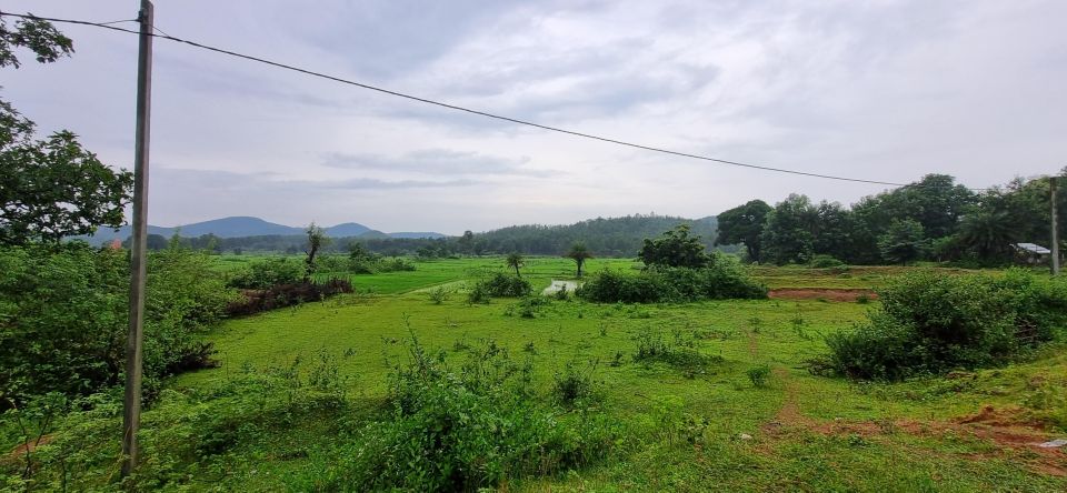 Daringbadi Delight: Immerse in Authentic Rural Odisha Exper - Highlights of the Experience