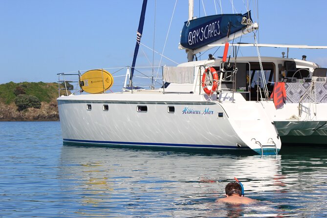 Day Sailing Catamaran Charter With Island Stop and Lunch - Customer Reviews