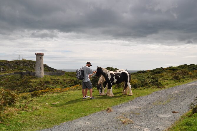 Day Tour From Dublin to Wicklow: Cliffs, Heritage, Wildlife, Gaol - Reviews and Ratings Overview