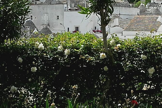 Day Tour of Ostuni, Martina Franca, Alberobello From Bari - Tour Guides