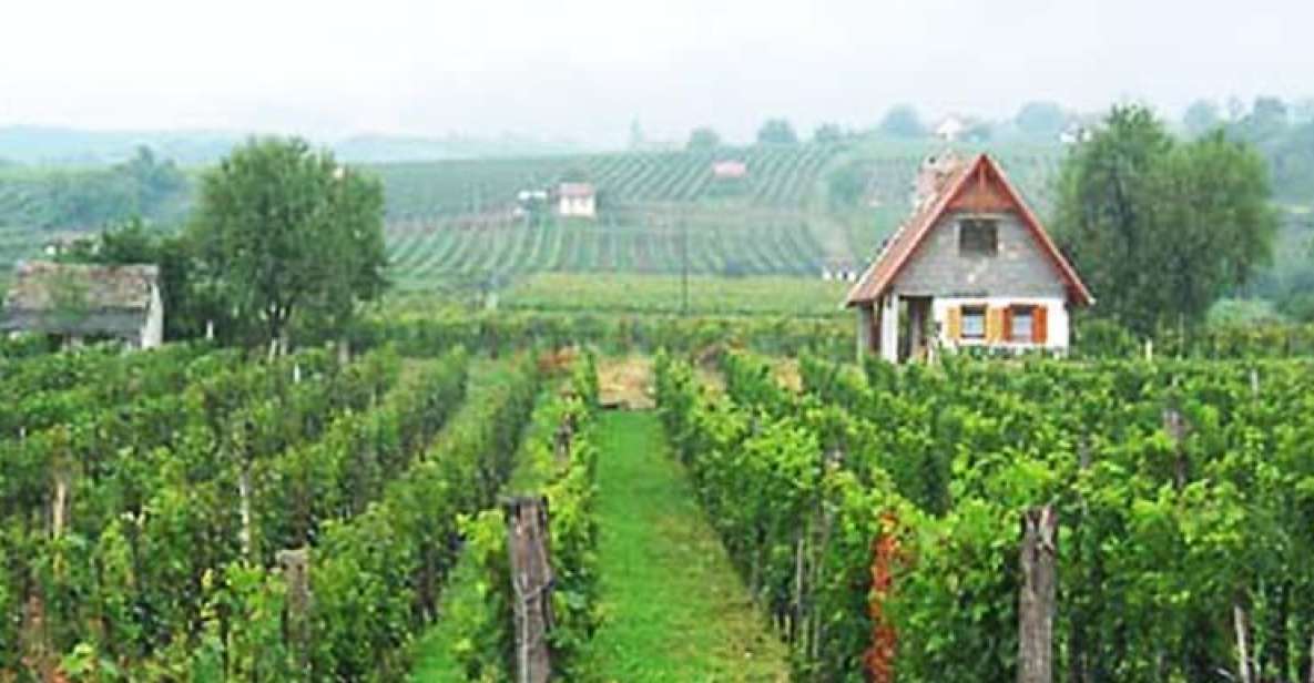 Day Tour of Pécs and Siklós With Villány Wine Tasting - Siklós Castle Visit
