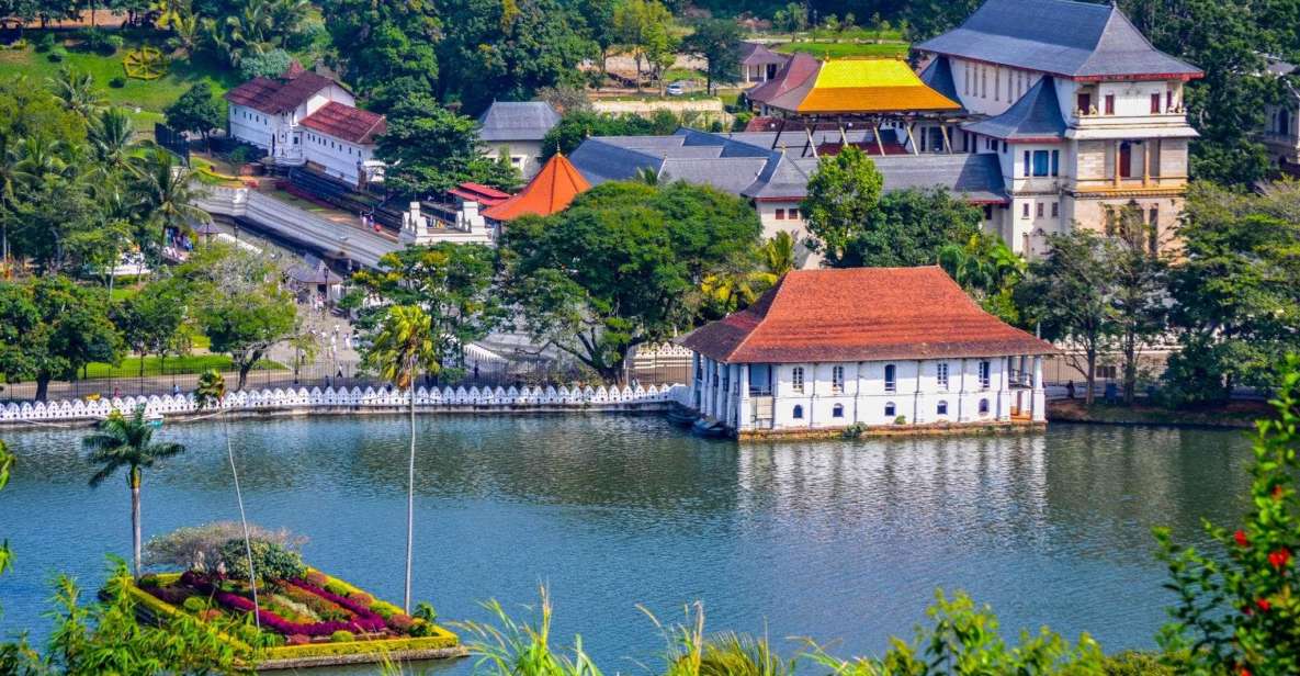 Day Tour To Kandy From Colombo - Highlights of the Day Trip