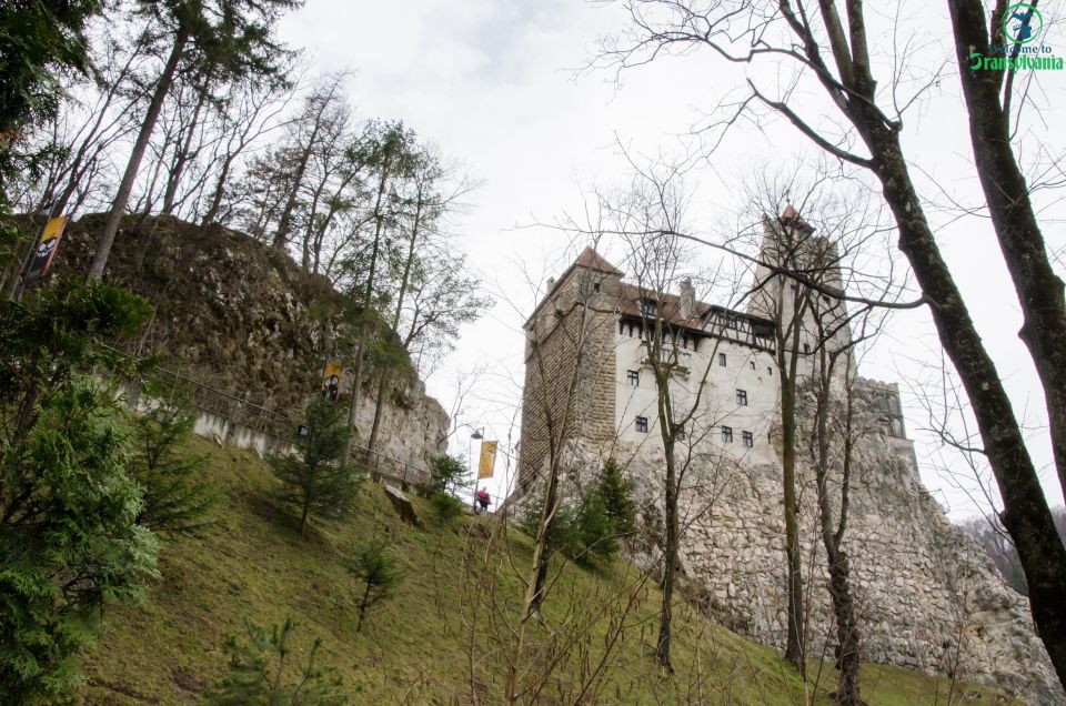 Day Trip Bran Castle, Rasnov Fortress and Bear Sanctuary - Experience Highlights