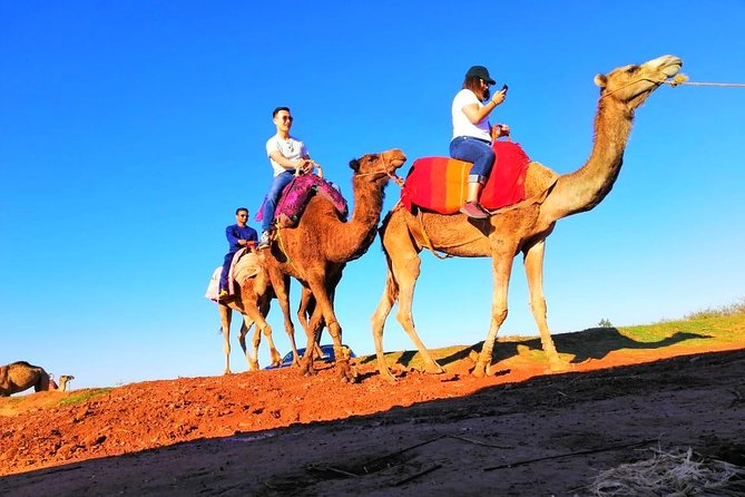 Day Trip to Atlas Mountains and 4 Valley With Camel Ride From Marrakech - Berber Cultural Experiences