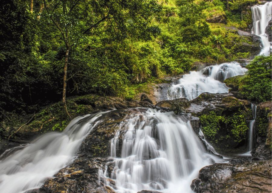 Day Trip to Tala Kaveri (Guided Tour by a Car From Coorg) - Tour Description