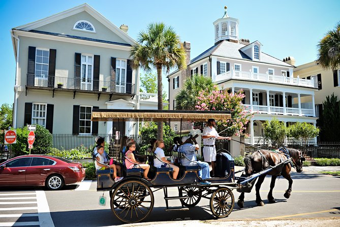 Daytime Horse-Drawn Carriage Sightseeing Tour of Historic Charleston - Customer Reviews and Ratings