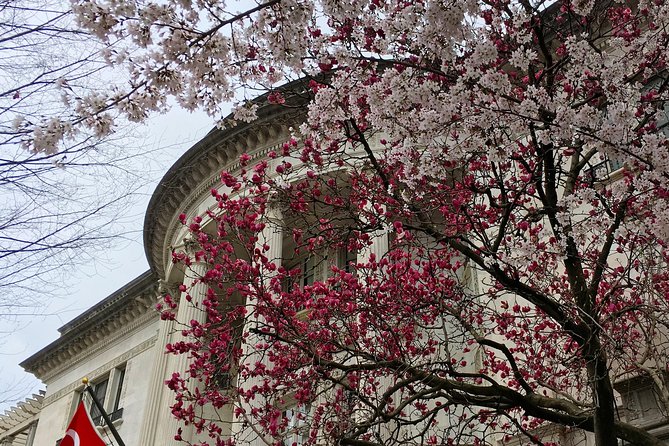 DCs Dupont Circle & Embassy Row Architecture Walking Tour - Tour Inclusions