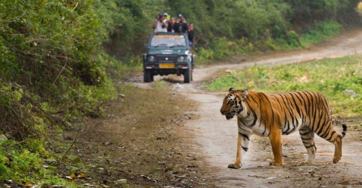 Delhi to Jim Corbett Transfer - Comfort and Convenience