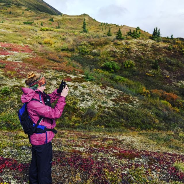 Denali: 5-Hour Guided Wilderness Hiking Tour - Cancellation Policy and Payment Details