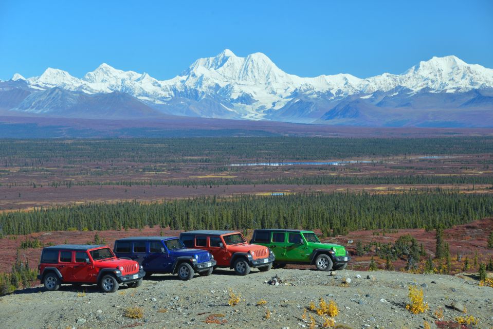 Denali: Highway Jeep Excursion - Review Summary