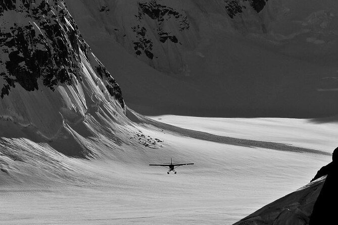 Denali National Park Flight and Glacier Landing From Talkeetna (Mar ) - Expert Pilot Guidance