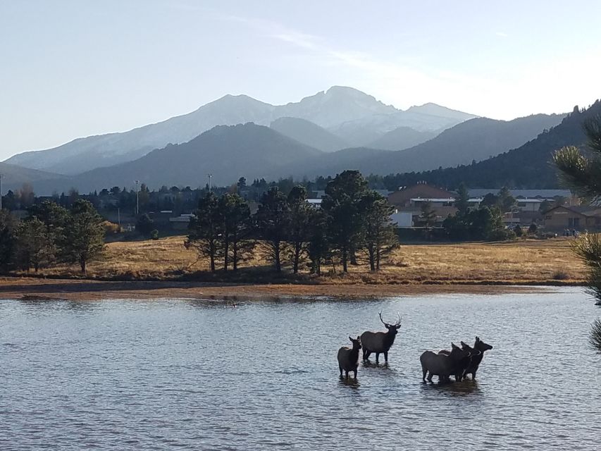 Denver: Rocky Mountain National Park Tour With Picnic Lunch - Tour Highlights and Experience