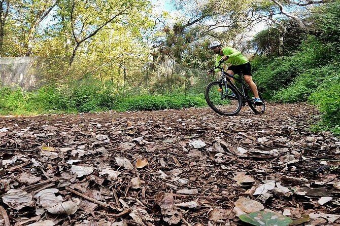 Descend in Mountain Bike in Northern Forests of Gran Canaria - Required Gear