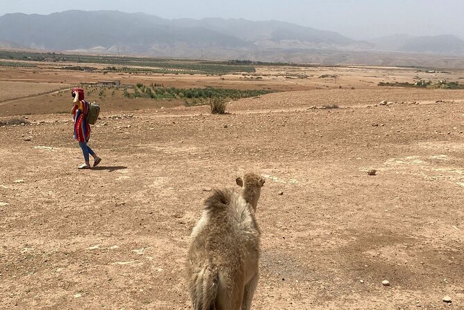 Desert Agafay and Atlas Mountains Day Tour & Camel Ride From Marrakech - Tour Highlights