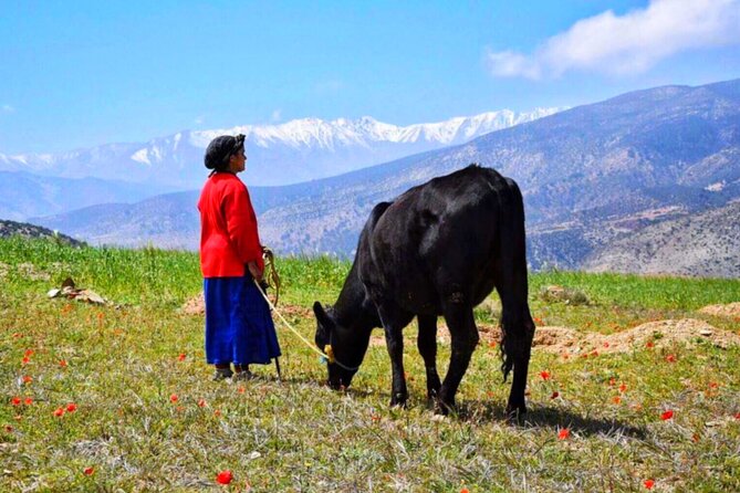 Desert Agafay & Waterfalls & Atlas Mountains Camel Ride Day Trip From Marrakech - Booking Information