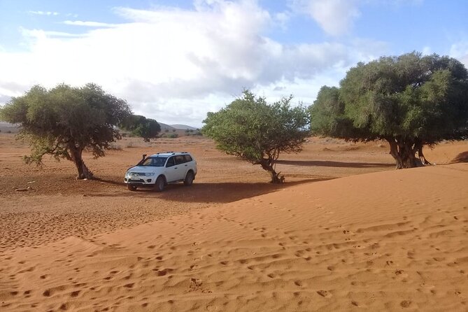Desert and Ocean Private Day Tour - Private Tour Experience