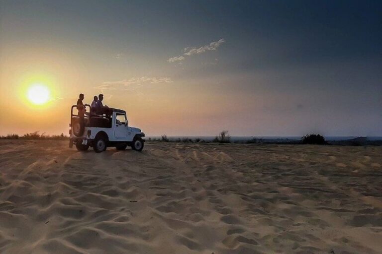 Desert Jeep Safari & Camel Safari Tour From Jodhpur