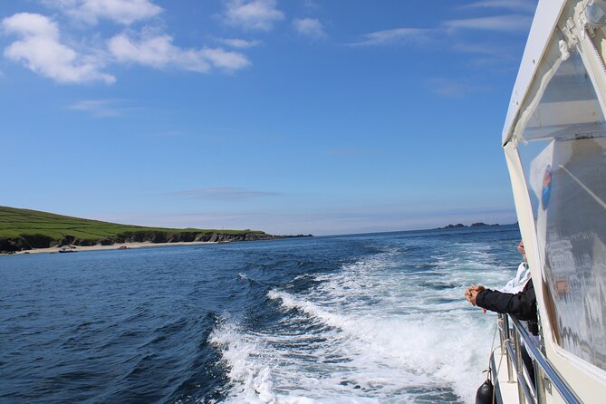 Dingle Blasket Island Adventure & Wildlife Cruise (Mar ) - Logistics & Meeting Information