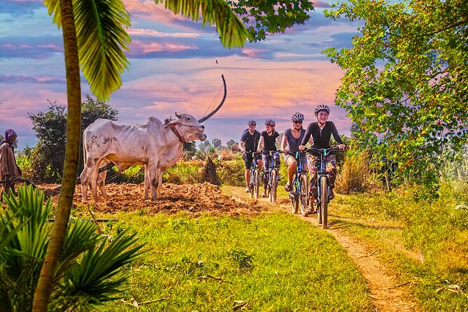 Discover Battambang Local Livelihoods on a Half-Day Bicycle Tour - Authentic Experiences