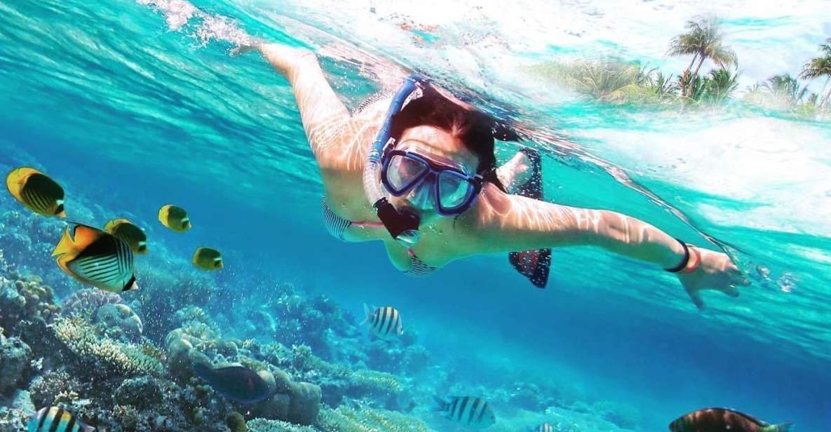 Discover Catalina Island - Snorkelling, Open Buffet & Drinks - Enjoy Traditional Dominican Buffet