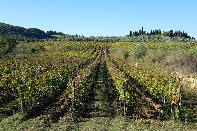 Discover Chianti Through Its Wines - Notable Chianti Wineries to Visit