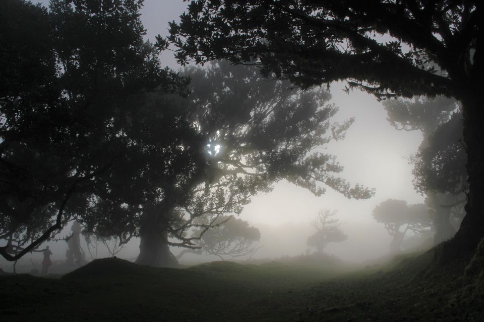 Discover Madeira's Idyllic Hikes & Beauty on Foot & Wheels! - Types of Hiking Trails