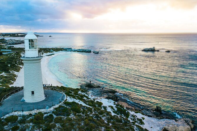 Discover Rottnest With Ferry & Bus Tour - Booking and Support