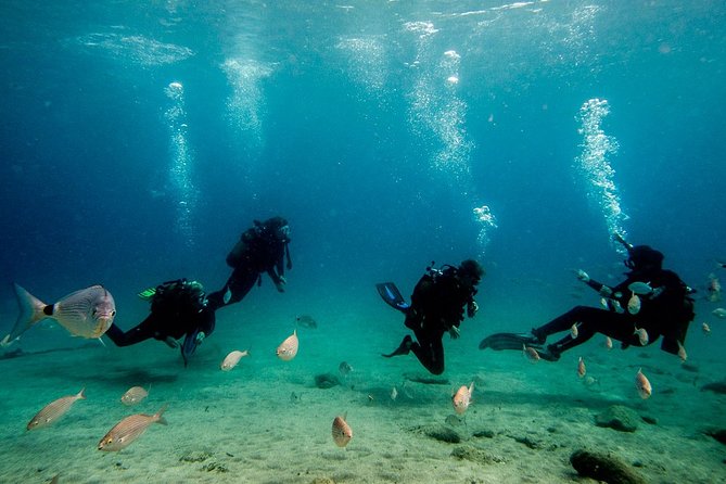 Discover Scuba Diving - Last Words