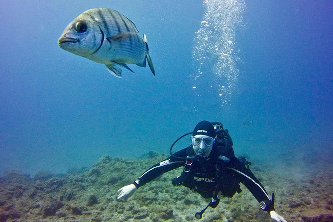 DISCOVER SCUBA DIVING - First Step to Your Certification - Accessibility and Group Details