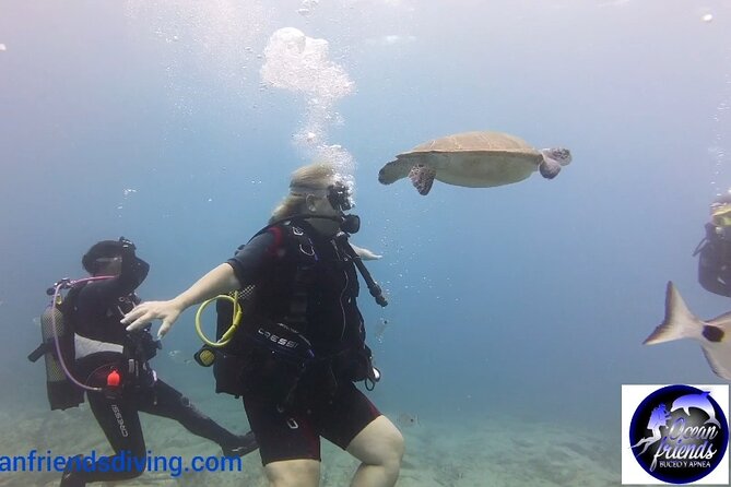 Discover Scuba Diving, Free Pictures Included - Booking Confirmation