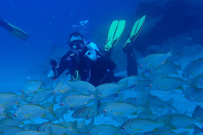 Discover Scuba Diving, Tenerife. Photos and Videos Included - Traveler Reviews and Ratings