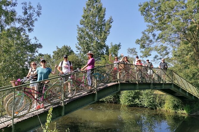 Discovery Day in the Footsteps of the Poitou Donkey - Conservation Efforts and Sustainability