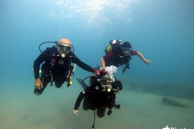 Diving Baptism in the Marine Reserve of Cabo Tiñoso - Accessibility Details for Divers