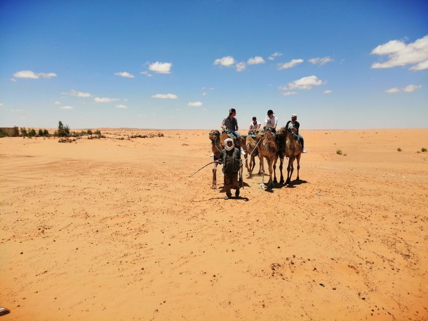 Djerba: 1-Day Tour to Ksar Ghilane and Berber Villages - Tour Description