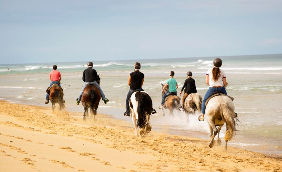 Djerba: Guided Horseback Riding Tour - Activity Description