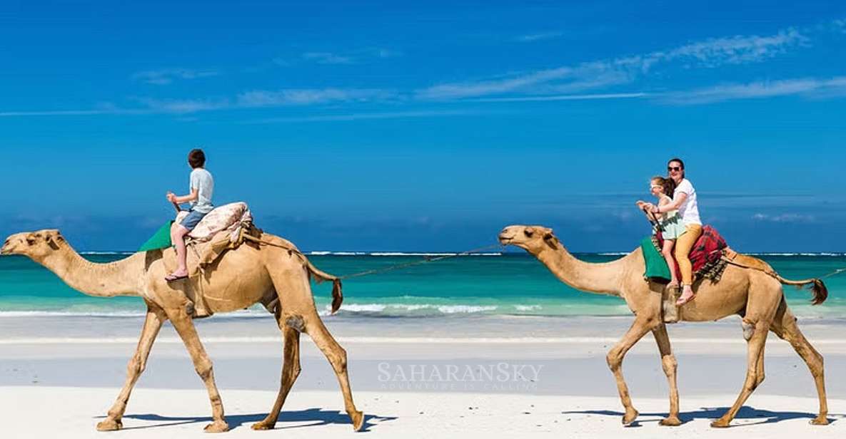 Djerba: Lagoon Camel Ride Experience - Review Summary