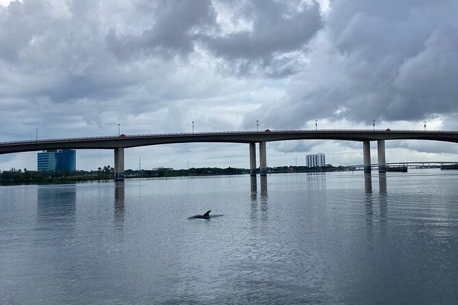 Dolphin and Manatee Stand Up Paddleboard Tour in Daytona Beach - Group Size and Feedback