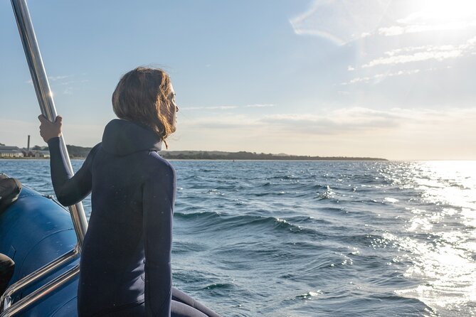 Dolphin and Seal Swim Reef Snorkel Boat Tour Mornington Peninsula - Logistics and Policies