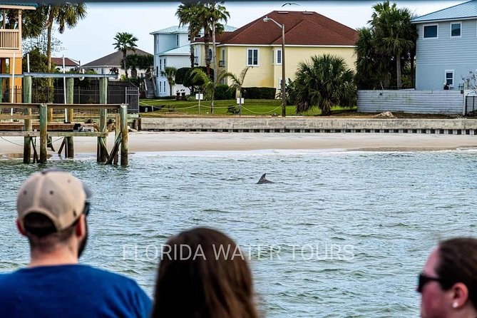 Dolphin and Wildlife Adventure of St. Augustine - Family-Friendly Experience