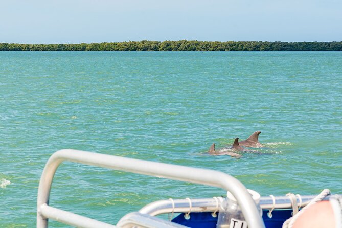 Dolphin Boat Tour in Clearwater Beach With Free Ice Cream - Customer Feedback and Experiences