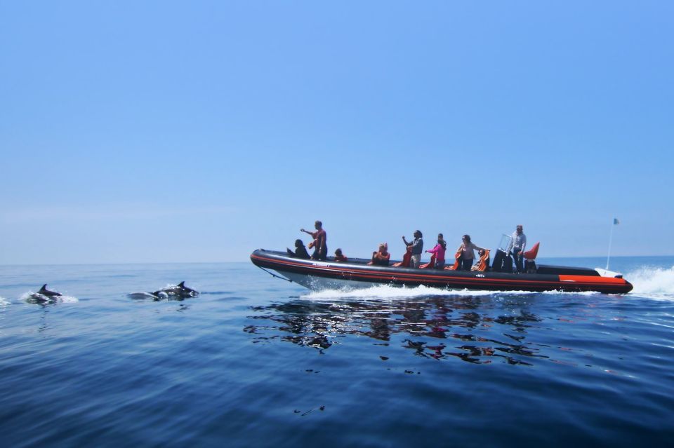 Dolphin Safari and Cave Tour in Vilamoura - Language and Guide Information