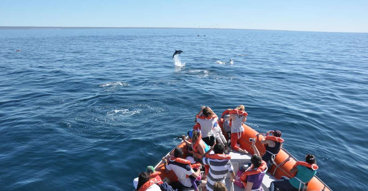 Dolphin Watching and Boat Trip in Puerto Madryn - Starting Location Information