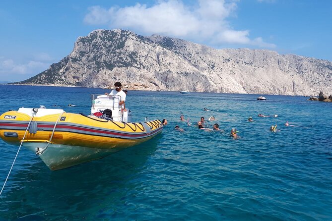 Dolphin Watching and Snorkeling in Figarolo in Sardinia - Local Dining Recommendations