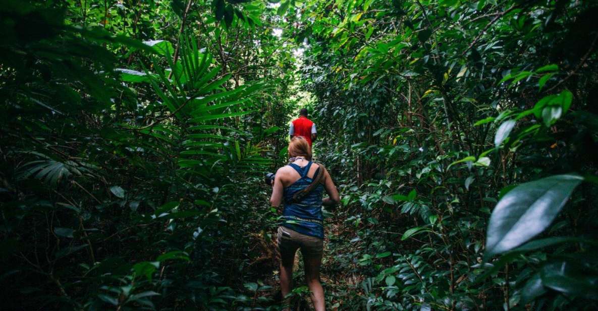 Dominica Hiking Adventures - Eco-Friendly Exploration