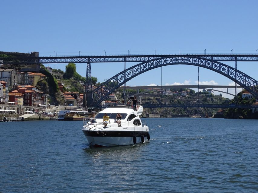 Douro River: Party Boat Tour on a Yacht - Location Details