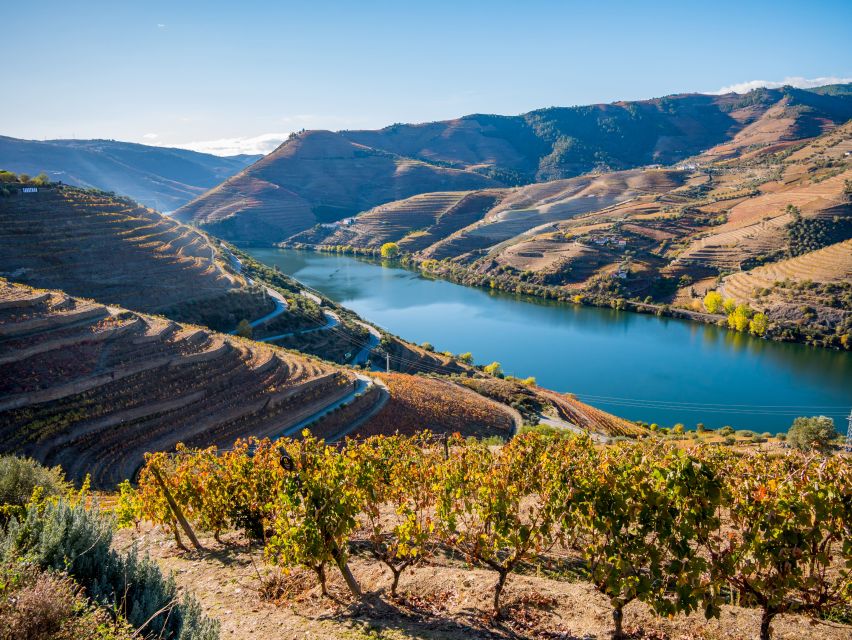 Douro Valley Delights: Wine Tasting and Scenic Vistas - Culinary Delights in Douro Valley
