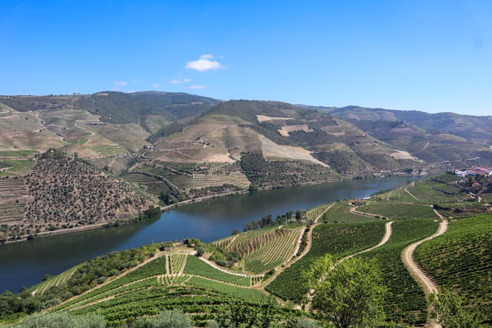 Douro Valley: Douro Valley Tour Including 3 Wineries - Lunch at Pinhão Village